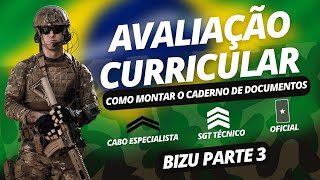 AVALIAÇÃO CURRICULAR como montar o caderno de documentos PARTE 3 [upl. by Odnala]