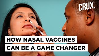 How Nasal Vaccines Work amp Why Bharat Biotechs Intranasal Covid Vaccine Can Help In 100 Vaccination [upl. by Joel]