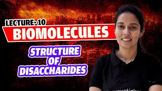 10Oligosaccharides Structure of Disaccharides Carbohydrates Biomolecules NEET lass 11 [upl. by Aydidey]