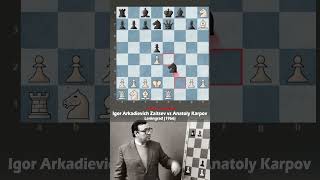 Forced A Draw Against Karpov In 14 Moves [upl. by Edvard]