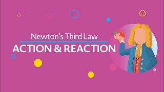 Action and Reaction Newton’s Third Law updated [upl. by Nolrev131]