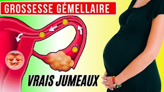 Grossesse gémellaire comment se forment les vrais jumeaux [upl. by Ilocin]