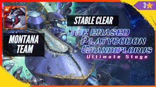 The Erased Platycodon Grandiflorus Ultimate Stage by Montana Team [upl. by Meelas]