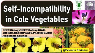 Self incompatibility in Brassica VegetablesSelf incompatibility typesplant breedingNEETICARNET [upl. by Durham471]