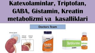 Katexolaminlar Triptofan GABA Gistamin Kreatin metabolizmi va kasalliklari [upl. by Anawahs]