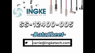 SS12400005 DataSheet  ingketechnet [upl. by Sonaj]