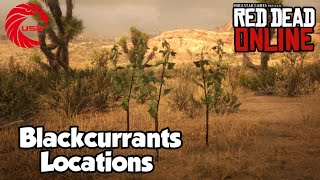 Blackcurrants Locations rdr2 Online  Red Dead Online Blackcurrants Location Guide [upl. by Eeryt]