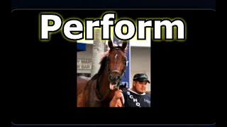 Perform All Career Starts Preakness Stakes Entered [upl. by Kirstin]