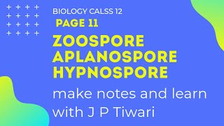 zoospore  aplanospore  hypnospore [upl. by Tani]