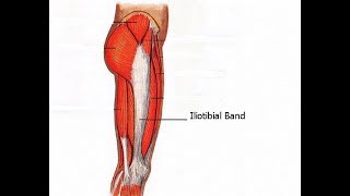 Two Minutes of Anatomy Iliotibial Band IT Band ITB [upl. by Nonad]