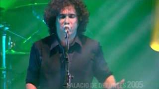 Andrés Calamaro  Flaca 1997  2005 [upl. by Leizahaj]