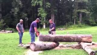 Epic Chainsaw Competition Stihl MS660 vs 066 Magnum [upl. by Kcor]