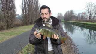 Streetfishing ultra light  Naviglio pavese  gomme shirasu [upl. by Etselec]