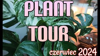 PLANT TOUR🌿MNÓSTWO ROŚLIN🌿PONAD💯 [upl. by Esinaej]