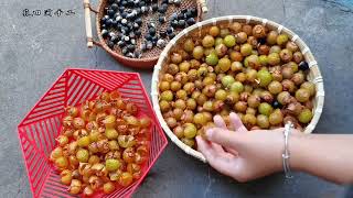 62 The processing of soapberry before making bracelets handmade 新知creator  soapberry bracelets [upl. by Jamil]