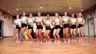 Garde Show Girls Einlage Fasching Gardetanz Wertach 2016 [upl. by Yemiaj]