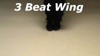 Wings  Preparation 3 Beat Wing on 2 Feet 3 Beat Wing Change [upl. by Einnij766]