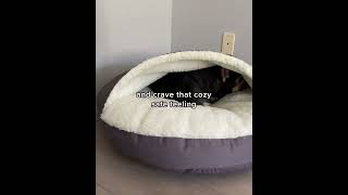 Introducing the Snoozer Cozy Cave Dog Bed  The Perfect Bed for Burrowing Dogs [upl. by Deyes]