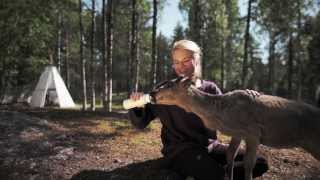 Summer at the Arctic Circle Rovaniemi Lapland [upl. by Airotkciv749]