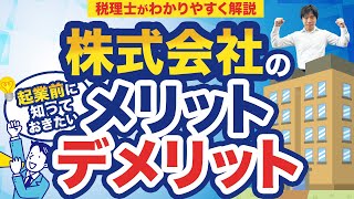 株式会社とは？仕組みや設立するメリット・デメリットをまるっと解説！ [upl. by Atika732]