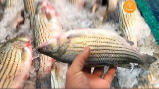 How to cook RockFish [upl. by Ecital]