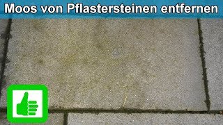 Moos amp Grünbelag von Pflastersteinen  Terrasse  entfernen  Hausmittel Moosentferner  Anleitung [upl. by Hecklau546]