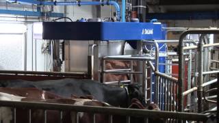 DeLaval Gjødselrobot Garberg Stasjon Selbu Norge [upl. by Akemot]