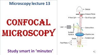 Confocal microscope  working principle  Advantages disadvantages  Microscopy lecture 13 [upl. by Sivek]