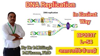 DNA Replication  Conservative Model  Biochemistry  BP203T  L54 [upl. by Rovelli103]