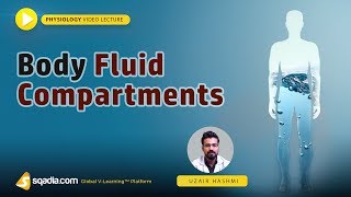 Body Fluid Compartments  Medical Student Lectures  Online Physiology  VLearning™ [upl. by Theron594]