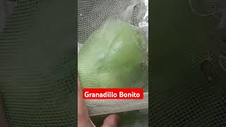 Granadillo Verde mata [upl. by Finbur]