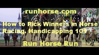 How To Pick Winners In Horse Racing Handicapping 101 Part 1 [upl. by Ariaek]