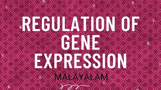 REGULATION OF GENE EXPRESSION Malayalam FOR NEET [upl. by Silden]