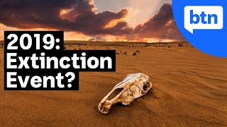 Are we in the Middle of Earths 6th Mass Extinction  BTN Explains [upl. by Cody264]