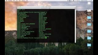 mysql installation on mac os x  reset root password [upl. by Krista]