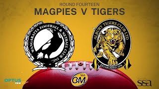 R14 2023  Wangaratta Magpies vs Albury Tigers [upl. by Bilak]