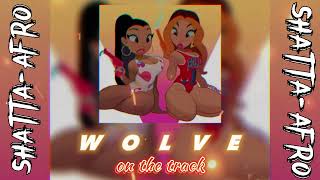 CHASSE 1  WOLVE MIX SHATTA  AFRO 🐺 [upl. by Pyne]