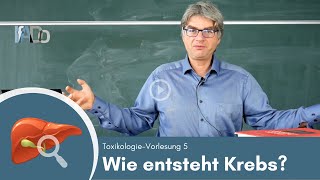 Toxikologie erklärt Wie entsteht Krebs Vorlesung 5 [upl. by Etnoj]