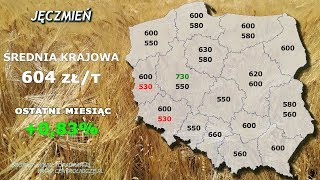 59 agro wiadomosci nonstop  20191104 [upl. by Assillem827]