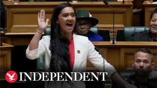 New Zealand MP performs haka in powerful maiden speech resurfaced video shows [upl. by Einama22]