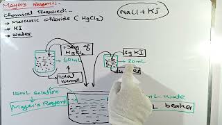 Preparation of Mayers Reagent  Organic reagent  Preparation of reagent in Chemistry lab [upl. by Arrim]