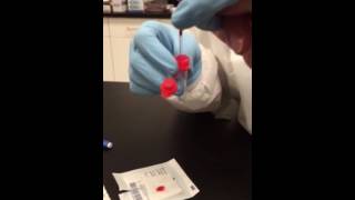 Capillary puncture instruction [upl. by Hoenack]