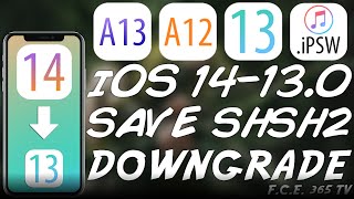 How To Save SHSH2 Blobs For iOS DOWNGRADE  Jailbreak ON A12 and A13 Devices iPhone 11 XS XR etc [upl. by Ettolrahs]