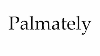 How to Pronounce Palmately [upl. by Meehaf]