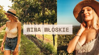 VLOG Wina Włoskie  BardolinoValpolicellaSoave  Italia alla polacca [upl. by Assyla]