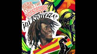 Ini Kamoze  Here Comes The Hotstepper 1994 [upl. by Petta505]