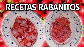 RECETAS DE RABANITOS O RÁBANOS  ENSALADAS  ERICA YT [upl. by Cynthla584]