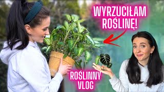 Wyrzuciłam roślinę🪴 ROŚLINNY VLOG🌱Roślinki Gosi 🌱 Gosia i Miłosz [upl. by Gareri]