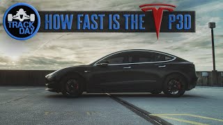 INCREDIBLE Tesla Model 3 Performance Reactions  Acceleration amp Launch Compilation  Volume 1 [upl. by Anaiad178]