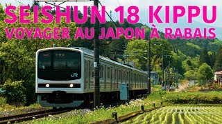 Seishun 18  Ce quil faut savoir billet train local Japon [upl. by Grevera]